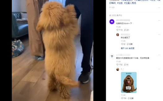 一张照片就能通过AI制作跳舞视频,只需三步实现动物与美女共舞视频