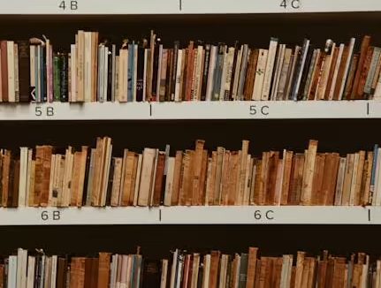 哈佛大学、谷歌发布 100 万本公共领域书籍,为 AI训练提供合法数据