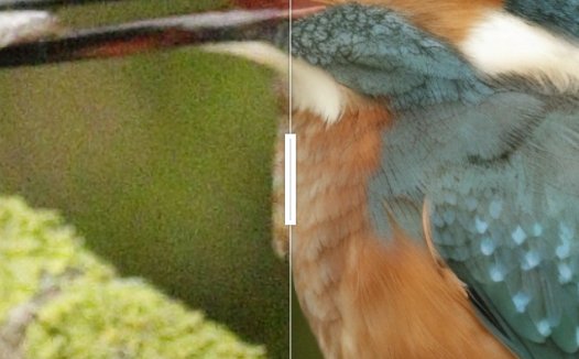 ai高清修复模糊照片，DiffBIR一键图片/老照片高清修复，附本地部署整合包