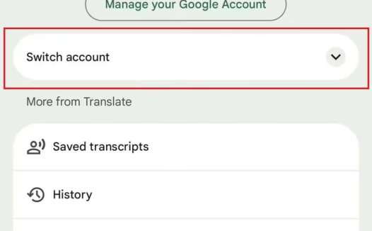 谷歌翻译将增“提问”功能,AI 解锁翻译新体验