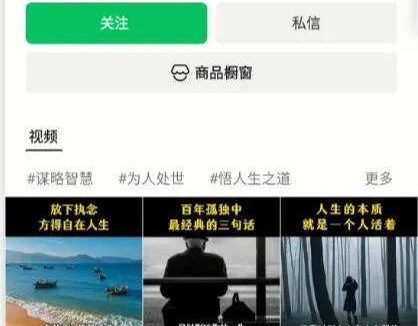 ai变现项目,用DeepSeek做拆书文案搞定爆款短视频