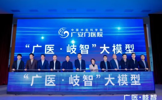 国内首部中医药 AI大模型评测标准发布，覆盖 13 个能力子域