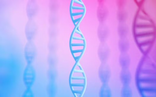 谷歌 DeepMind 发布 AlphaGenome 模型：AI 新视角探索 DNA 基因变异影响