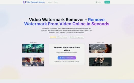 Video Watermark Remover:在线免费视频水印去除工具,去除视频中的徽标、文字叠加和水印
