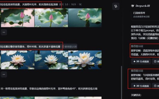 AI生成治愈系开花视频，用即梦AI轻松制作首尾帧花开延时摄影视频