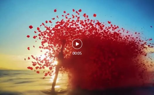 拆解AI视频玩法,AI制作花瓣消失退场效果教程来了