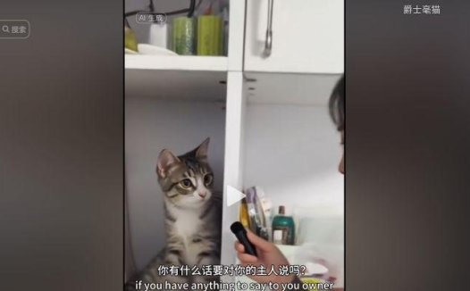 AI生成宠物猫狗爆款采访视频制作教程，全网爆火的AI动物说话视频