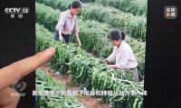 央视揭秘网络直播间 AI 虚假带货