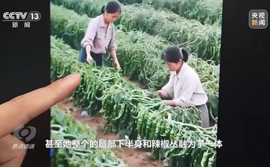 央视揭秘网络直播间 AI 虚假带货