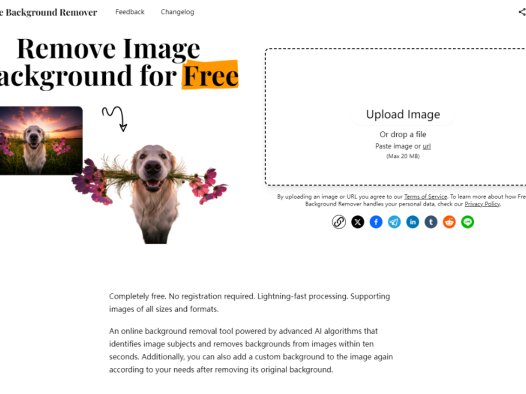 Free Background Remover：在线ai图片背景移除工具，10秒内从图片中精准识别并移除背景