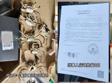顾客 AI伪造螃蟹损坏骗退款被拘 8 日，商家呼吁加强监管