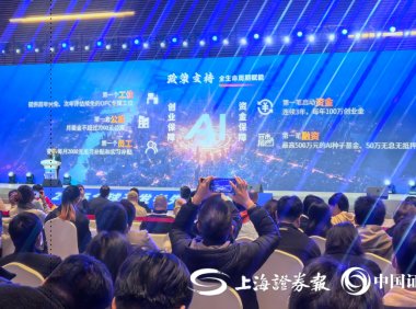 上海浦东:针对新注册 AI 一人创业公司提供最高 30 万元免费算力