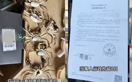 顾客 AI伪造螃蟹损坏骗退款被拘 8 日,商家呼吁加强监管
