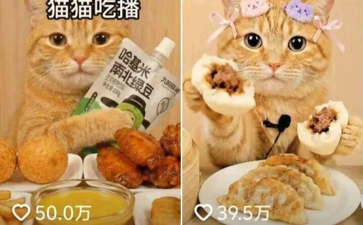 如何制作最近爆火的橘猫AI视频？手把手教你用AI做宠物视频