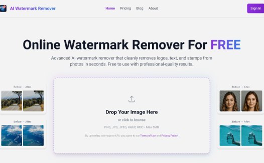 AI Watermark Remover：在线AI水印移除工具，快速去除图片中的水印、文字和标志