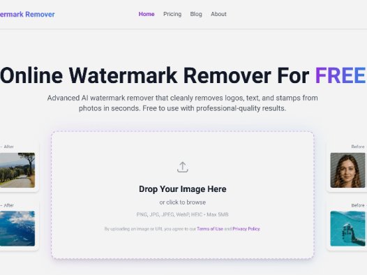 AI Watermark Remover:在线AI水印移除工具,快速去除图片中的水印、文字和标志