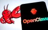 「AI 养龙虾」走红背后,工信部点名 OpenClaw 安全隐患