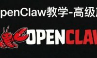 安装openclaw小白教程,OpenClaw高级篇教学