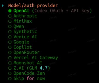 OpenClaw 从入门到精通指南：OpenClaw配置模型手把手教程