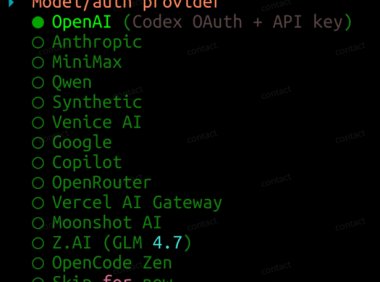 OpenClaw 从入门到精通指南：OpenClaw配置模型手把手教程