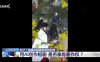 全国首例 AI 短剧侵权刑事案一审宣判：盗录超 1700 部牟利获刑，构成侵犯著作权罪