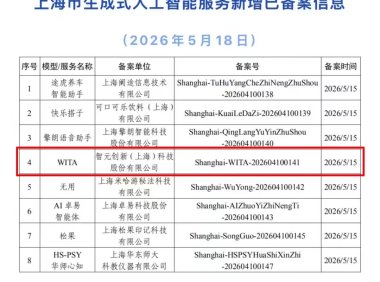 全国首个：智元 WITA（硅光动语）大模型完成备案