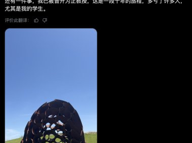 北大数院「黄金二代」苏炜杰加入 OpenAI