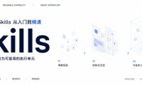 Skills技能零基础教程，Skills从入门到精通
