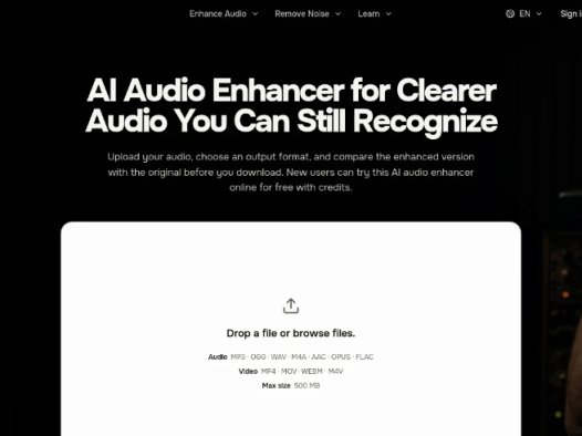 Audio AI:在线AI音频增强,清晰语音与自然降噪并支持人声与音乐分离