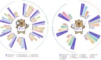 阿里千问开源 Qwen-Drive-1.0-4B:首个面向自动驾驶的视觉语言基础模型