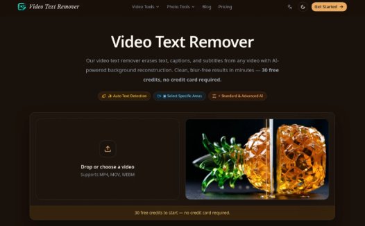 Video Text Remover:AI视频文字与水印移除工具,自动移除视频中的字幕、水印及文字覆盖