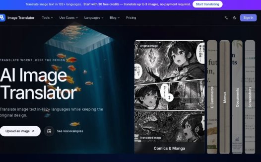 Image Translator:在线图片翻译工具,保持原始排版与设计