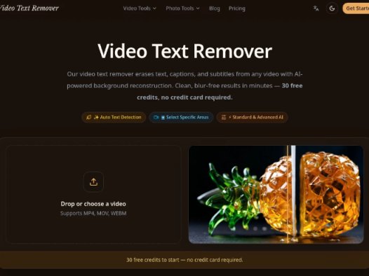 Video Text Remover：AI视频文字与水印移除工具，自动移除视频中的字幕、水印及文字覆盖